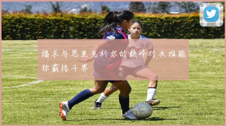 播求与恩里克科尔的巅峰对决谁能称霸格斗界