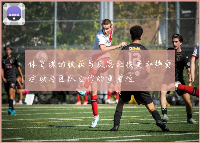 体育课的收获与反思让我更加热爱运动与团队合作的重要性